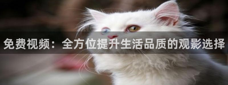丫丫视频