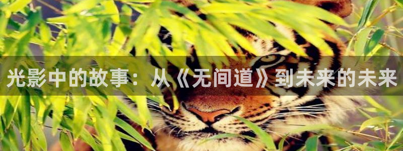 光棍影院丫丫：光影中的故事：从《无间道》到未来的未来