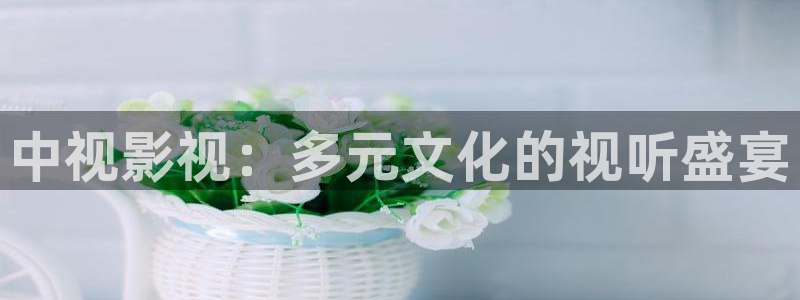 丫丫4480青苹果影院：中视影视：多元文化的视听盛宴