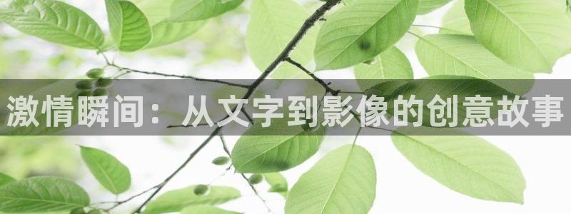 丫丫4480私人影院：激情瞬间：从文字到影像的创意故事